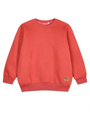 Energiers Basic Line sweatshirt for boys