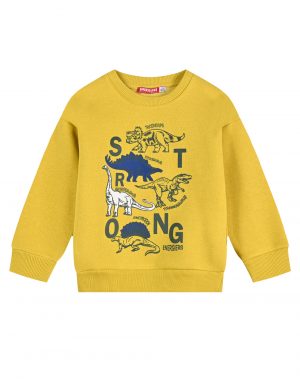 Sweatshirt for Boys with  lining and print