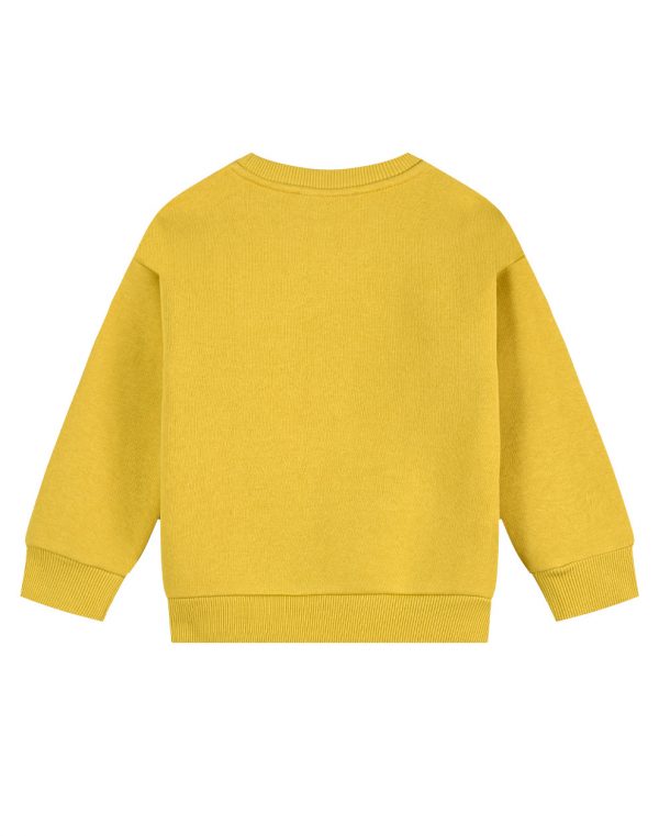 Sweatshirt for Boys with  lining and print