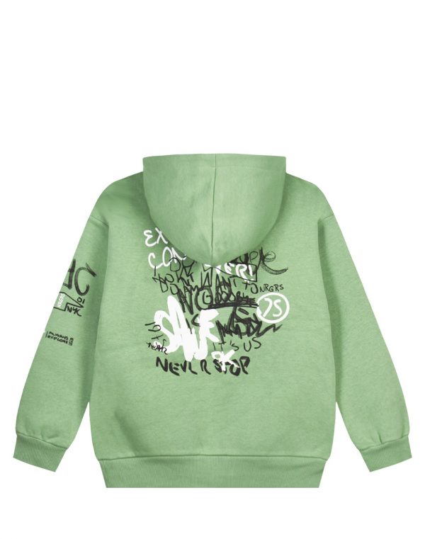 Sweatshirt with lightweight fleece lining, hood, Boy