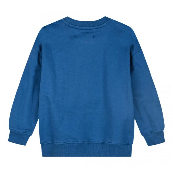 Fleece sweatshirt for boys