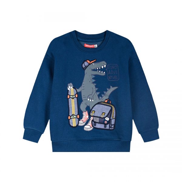 Fleece sweatshirt for boys