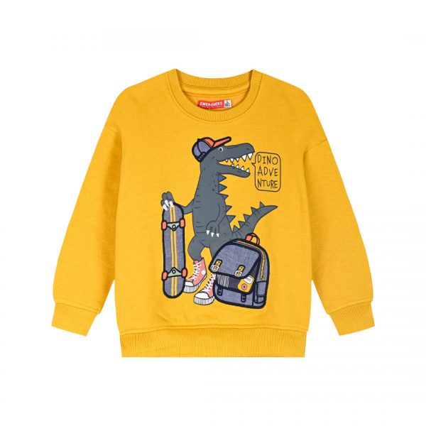 Fleece sweatshirt for boys