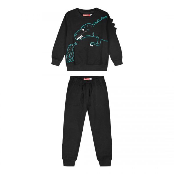 Fleece tracksuit set for boys