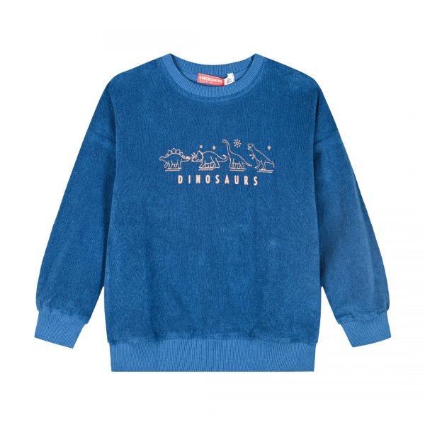 Fleece sweatshirt for boys