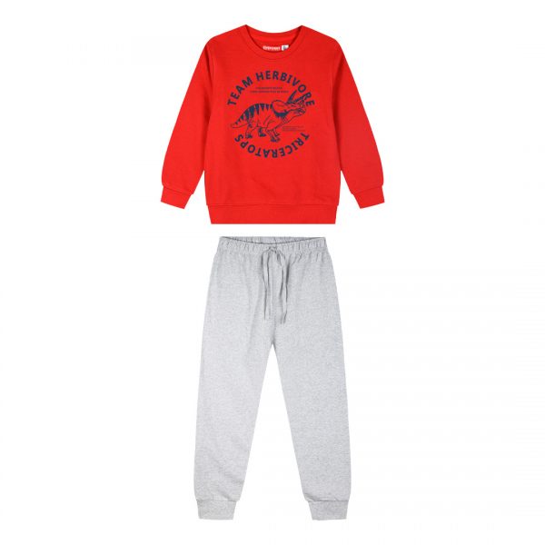 Fleece tracksuit set for boys