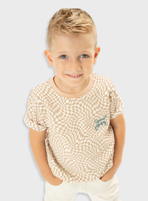 Printed t-shirt for boys