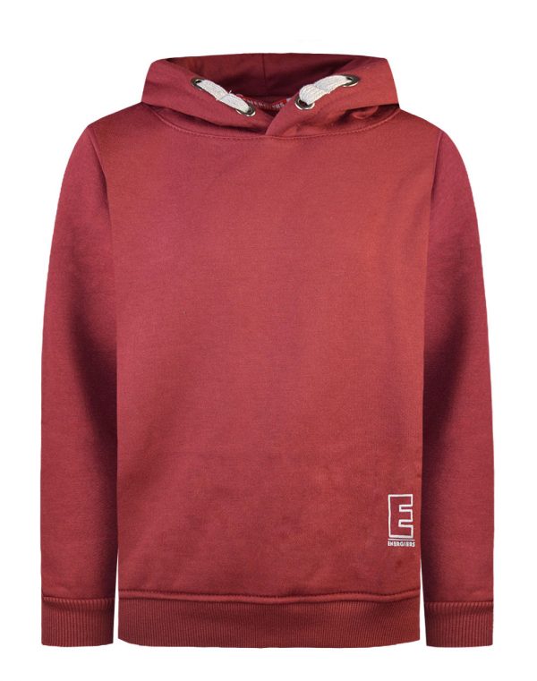 Energiers Basic Line Hooded Sweatshirt for Boys