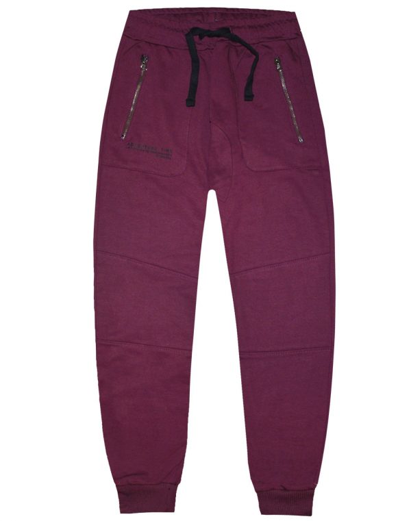 Sweatpants from unbrushed fleece with print for boys