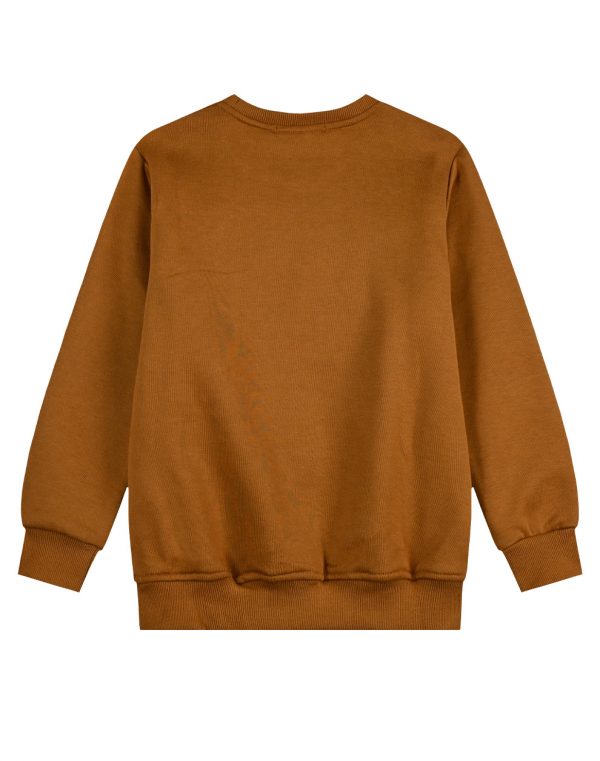 Boy΄s embossed printed fleece sweatshirt