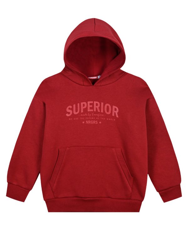 Boy΄s fleece sweatshirt with hood