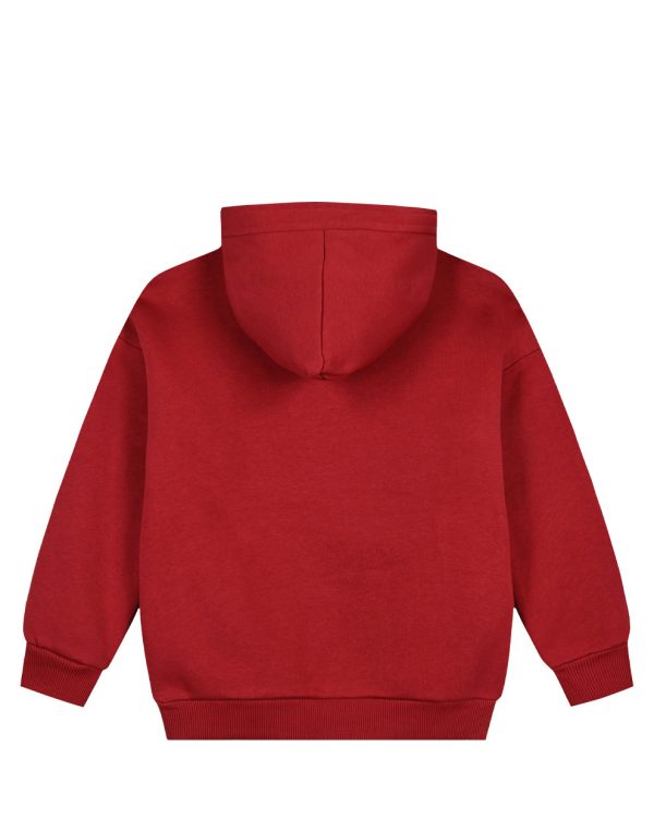 Boy΄s fleece sweatshirt with hood