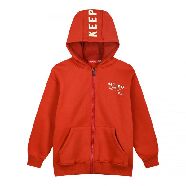 Fleece jacket with hood and print for boys