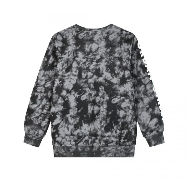 Printed fleece sweatshirt for boys