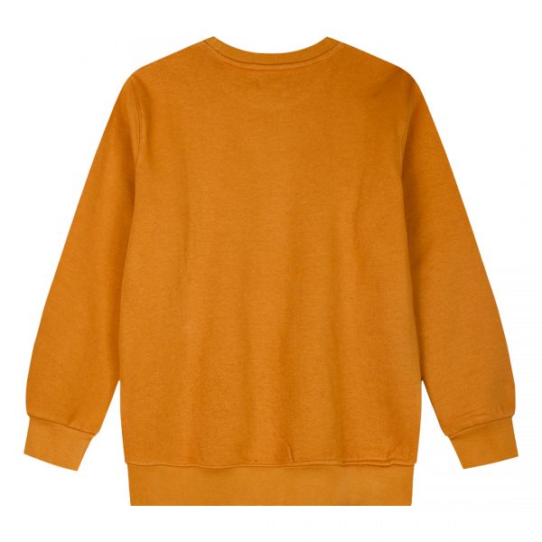 Fleece sweatshirt for boys