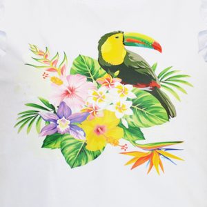 Set print parrot