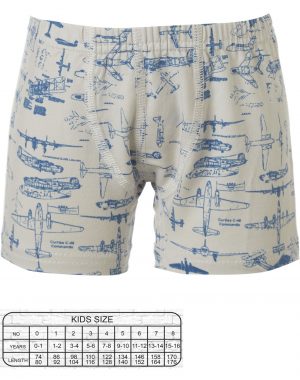 Boxer print airplains